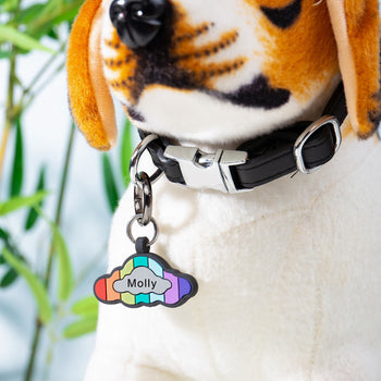 Personalized Silica Gel Dog Tag