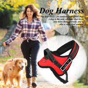 Personalized Nylon Dog Harness
