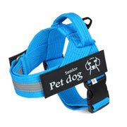 Custom Pet Dog Strap