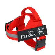 Custom Pet Dog Strap