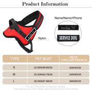 Personalized Nylon Dog Harness