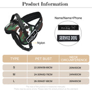 Personalized Nylon Dog Harness